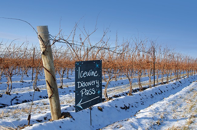 icewine road route